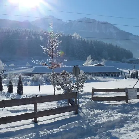 Bed & Breakfast Edelweisspitze